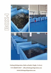 homarium-box-i---uk_page_2